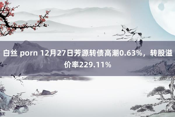 白丝 porn 12月27日芳源转债高潮0.63%，转股溢价率229.11%