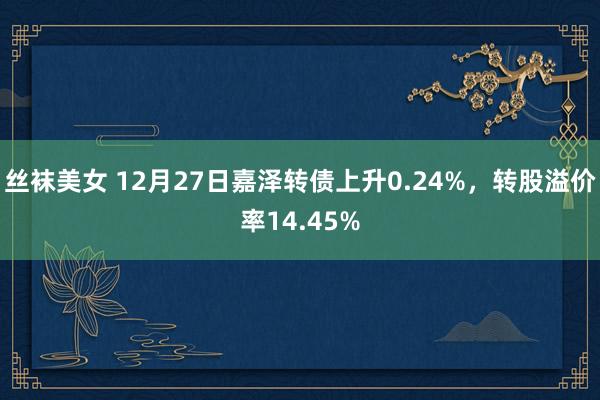 丝袜美女 12月27日嘉泽转债上升0.24%，转股溢价率14.45%