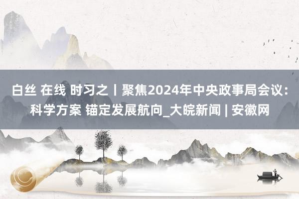 白丝 在线 时习之丨聚焦2024年中央政事局会议：科学方案 锚定发展航向_大皖新闻 | 安徽网