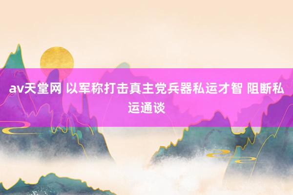 av天堂网 以军称打击真主党兵器私运才智 阻断私运通谈