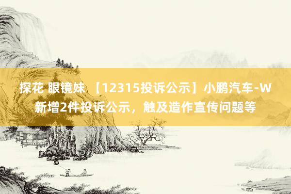 探花 眼镜妹 【12315投诉公示】小鹏汽车-W新增2件投诉公示，触及造作宣传问题等