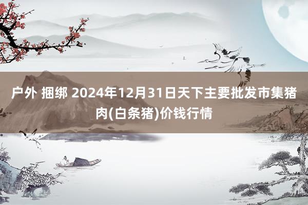 户外 捆绑 2024年12月31日天下主要批发市集猪肉(白条猪)价钱行情