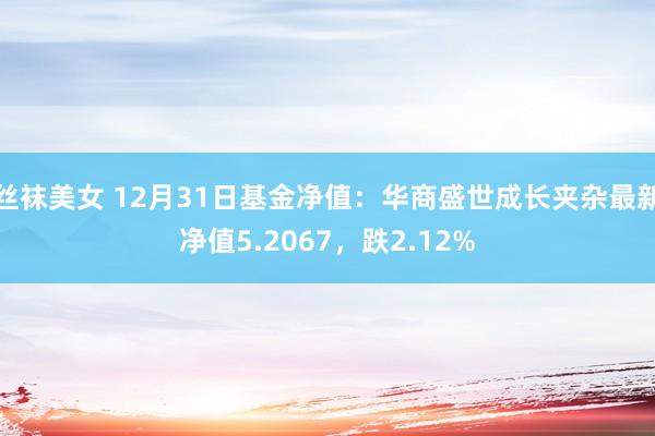 丝袜美女 12月31日基金净值：华商盛世成长夹杂最新净值5.2067，跌2.12%