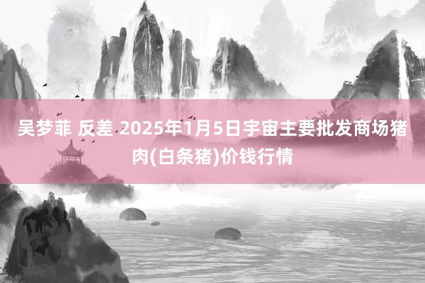 吴梦菲 反差 2025年1月5日宇宙主要批发商场猪肉(白条猪)价钱行情