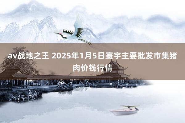 av战地之王 2025年1月5日寰宇主要批发市集猪肉价钱行情