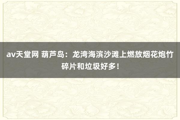 av天堂网 葫芦岛：龙湾海滨沙滩上燃放烟花炮竹碎片和垃圾好多！