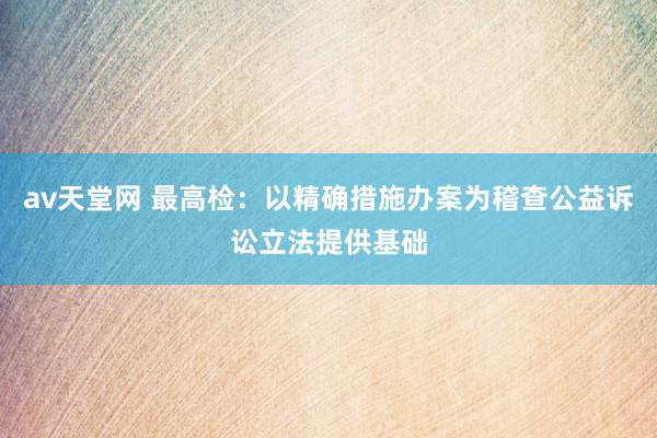 av天堂网 最高检：以精确措施办案为稽查公益诉讼立法提供基础