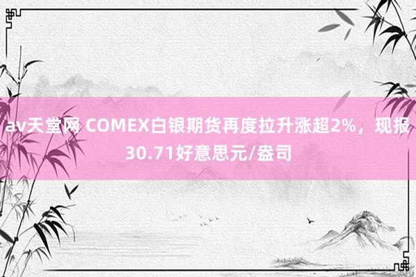 av天堂网 COMEX白银期货再度拉升涨超2%，现报30.71好意思元/盎司