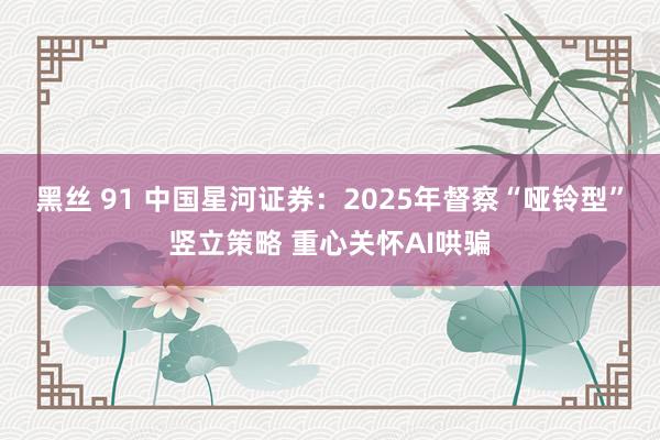 黑丝 91 中国星河证券：2025年督察“哑铃型”竖立策略 重心关怀AI哄骗