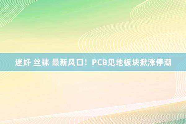 迷奸 丝袜 最新风口！PCB见地板块掀涨停潮