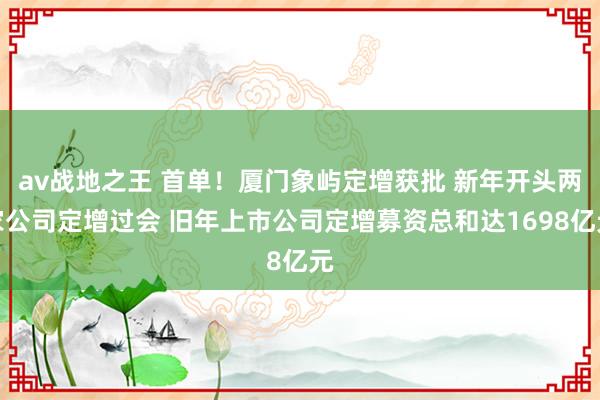 av战地之王 首单！厦门象屿定增获批 新年开头两家公司定增过会 旧年上市公司定增募资总和达1698亿元