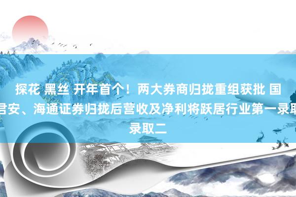 探花 黑丝 开年首个！两大券商归拢重组获批 国泰君安、海通证券归拢后营收及净利将跃居行业第一录取二