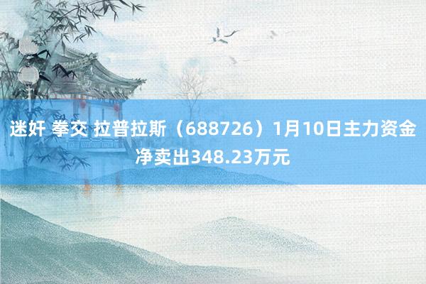 迷奸 拳交 拉普拉斯（688726）1月10日主力资金净卖出348.23万元