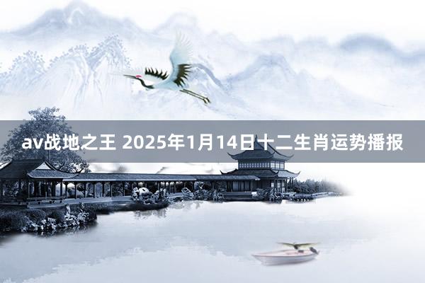 av战地之王 2025年1月14日十二生肖运势播报