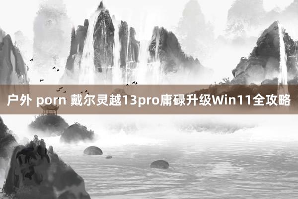 户外 porn 戴尔灵越13pro庸碌升级Win11全攻略