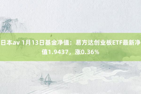 日本av 1月13日基金净值：易方达创业板ETF最新净值1.9437，涨0.36%