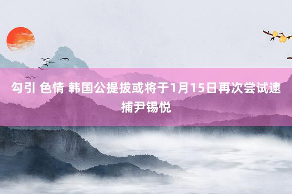 勾引 色情 韩国公提拔或将于1月15日再次尝试逮捕尹锡悦